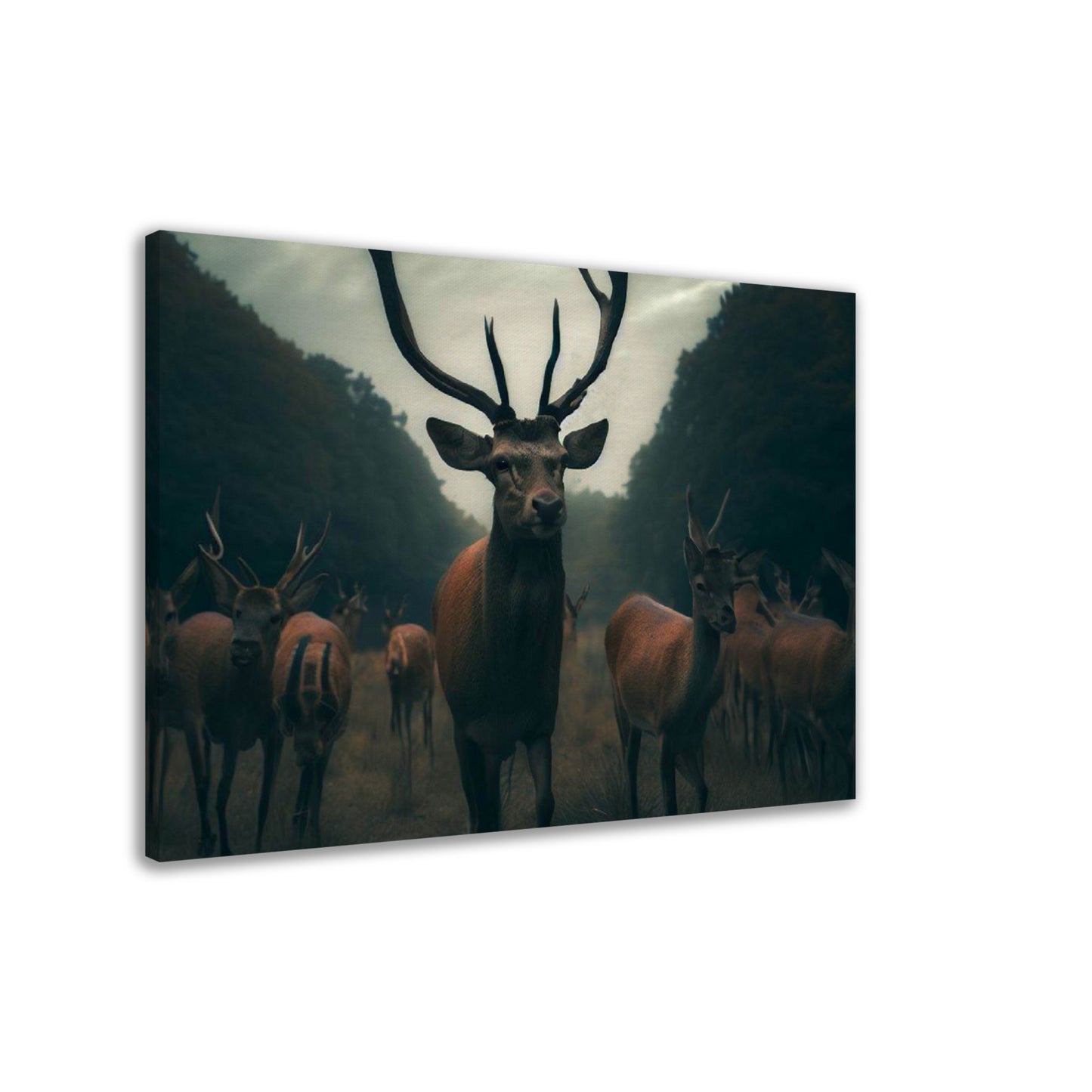 Leader of the Pack: Majestic Buck Wall Art