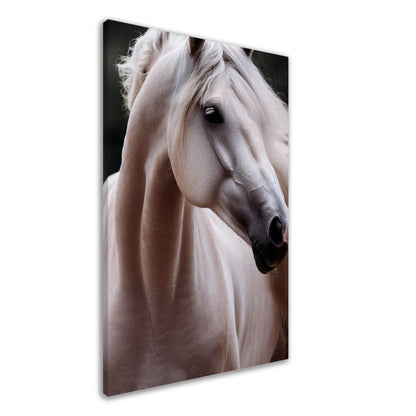 Majestic White Stallion Canvas Wall Art