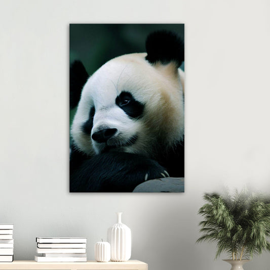 Adorable Panda Wall Art